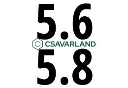 5.6 és 5.8 osztály